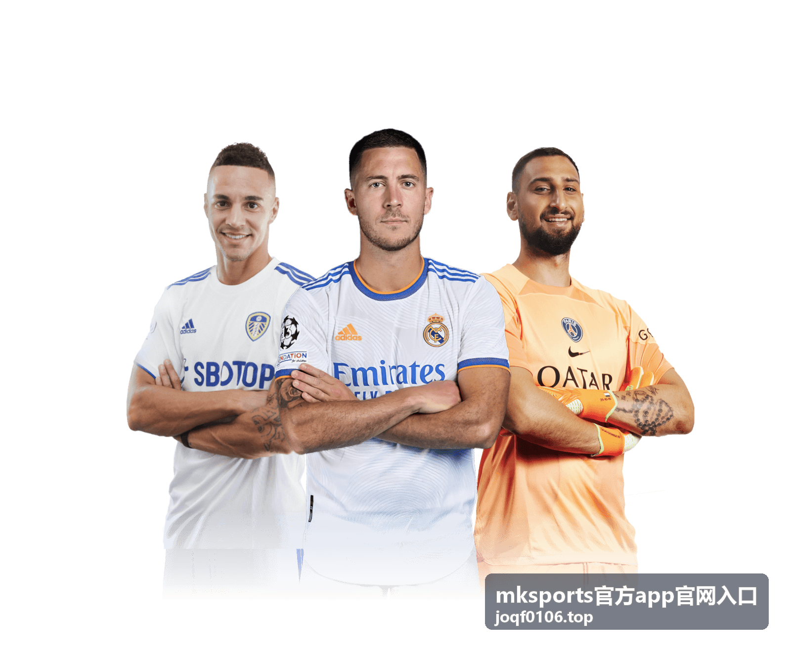 mksports官方app官网入口在家观赛时使用数据面板的场景