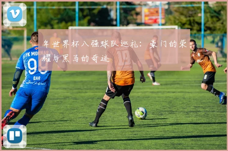 年世界杯八强球队巡礼:豪门的荣耀与黑马的奇迹