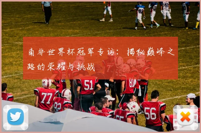 南非世界杯冠军专访:揭秘巅峰之路的荣耀与挑战