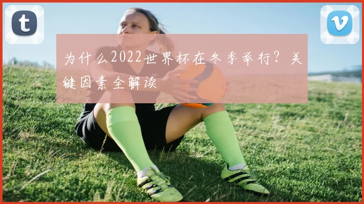 为什么2022世界杯在冬季举行？关键因素全解读