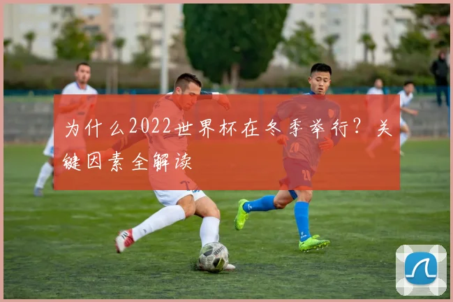 为什么2022世界杯在冬季举行？关键因素全解读