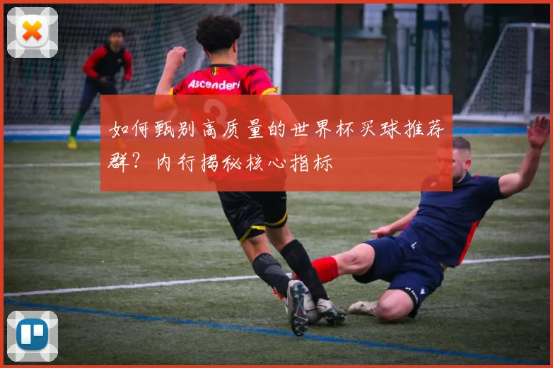 如何甄别高质量的世界杯买球推荐群？内行揭秘核心指标