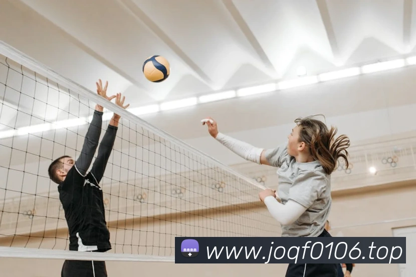 开云官方最新app下载发展历程